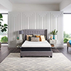 Sealy 12 inch memory foam queen mattress